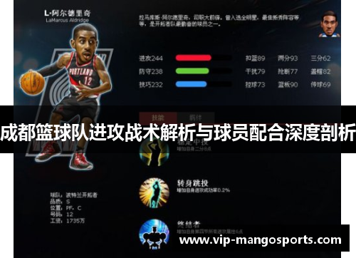 成都篮球队进攻战术解析与球员配合深度剖析