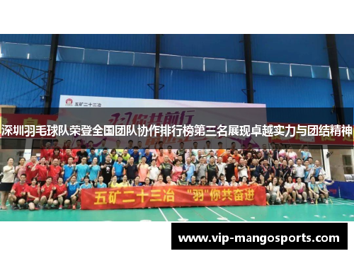 深圳羽毛球队荣登全国团队协作排行榜第三名展现卓越实力与团结精神
