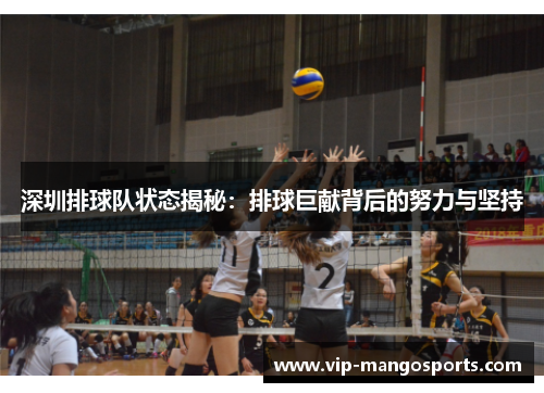 深圳排球队状态揭秘：排球巨献背后的努力与坚持