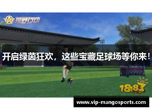 开启绿茵狂欢，这些宝藏足球场等你来！